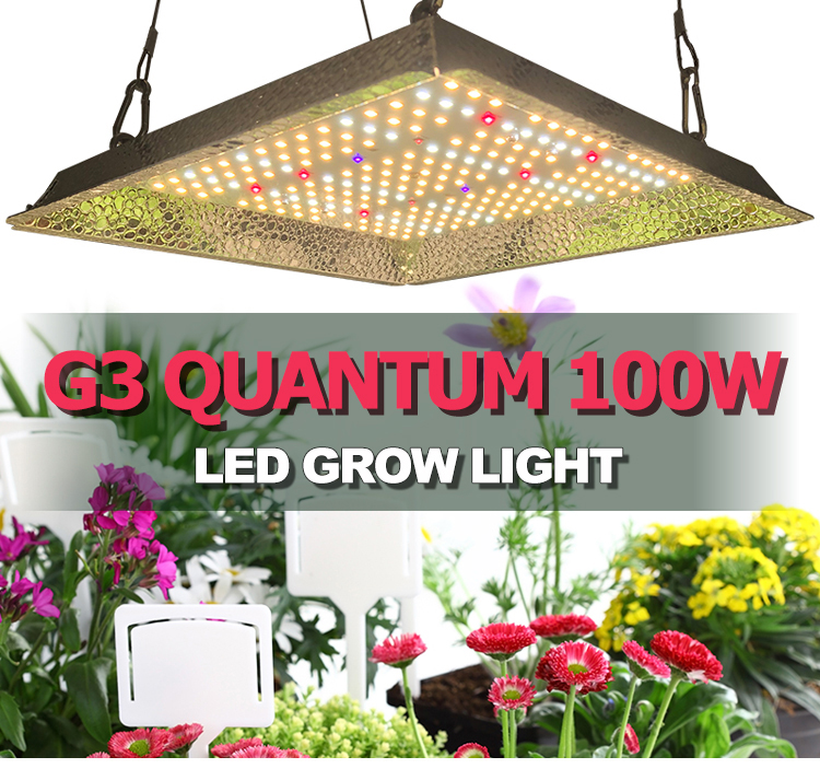 LED Светильник RedFarm G3 - Quantum100 WLED Светильник RedFarm G3 - Quantum100 W