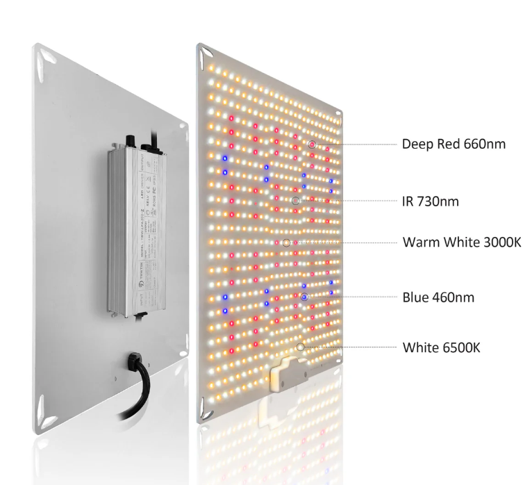 Quantum Board Redfarm RQ320 Watt Samsung Quantum Board Redfarm RQ320 Watt Samsung 