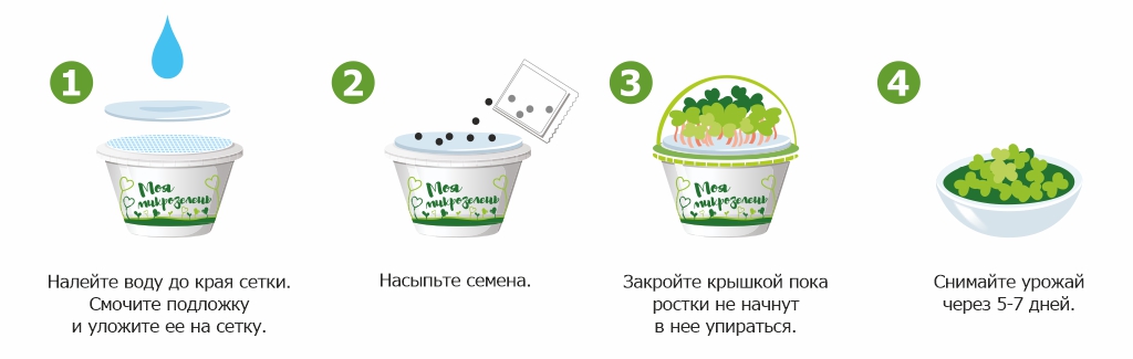 Набор для выращивания «Моя микрозелень»Набор для выращивания «Моя микрозелень»