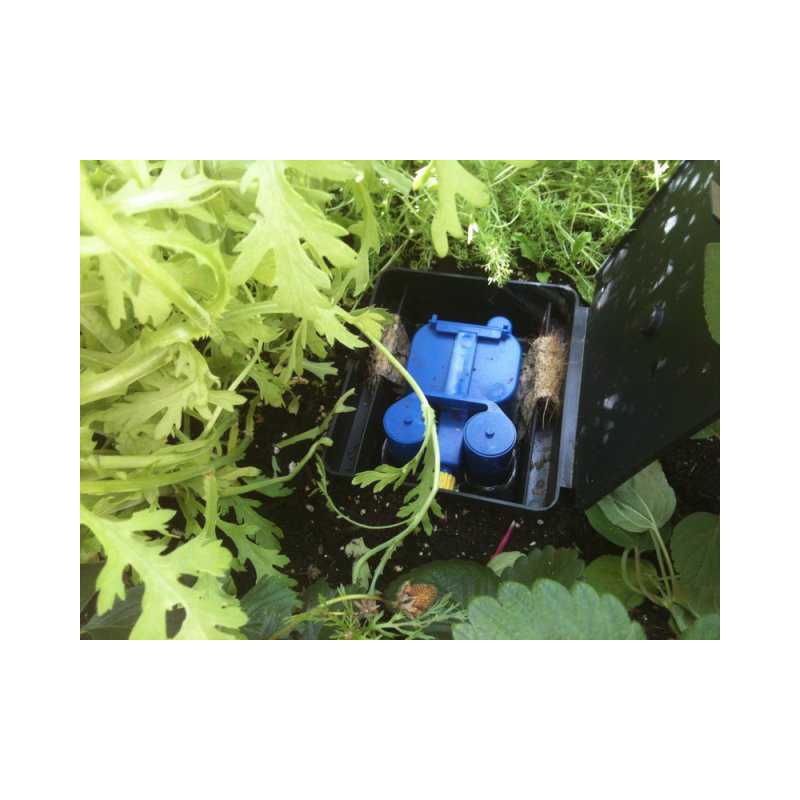 AQUAbox StraightAQUAbox Straight