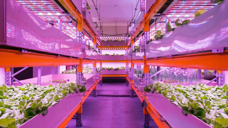 Система Smart Grow Rack System G18Система Smart Grow Rack System G18