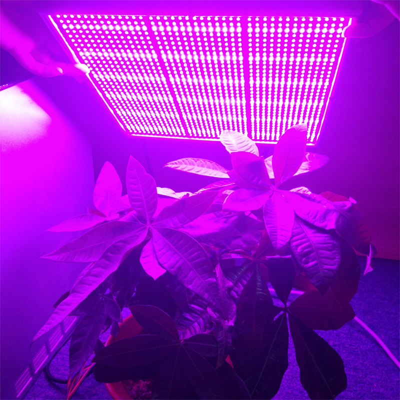 Светильник Power Slim LED 75 W GrowsvetСветильник Power Slim LED 75 W Growsvet