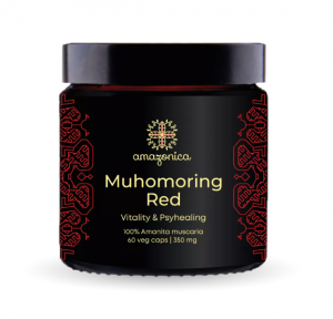 Микродозинг красного мухомора 60 капсул 350 мг (Muhomoring Red)Микродозинг красного мухомора 60 капсул 350 мг (Muhomoring Red)
