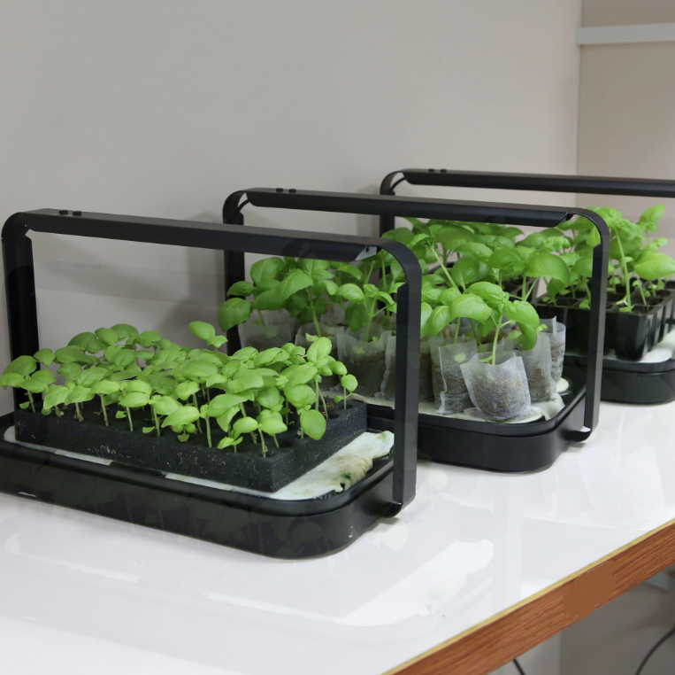 Домашняя грядка для микрозелени GrowsvetДомашняя грядка для микрозелени Growsvet