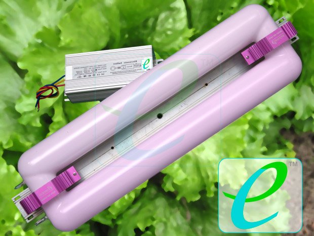 Фитолампа индукционная Юпитер 200 W+Эпра FLORA)Фитолампа индукционная Юпитер 200 W+Эпра FLORA)
