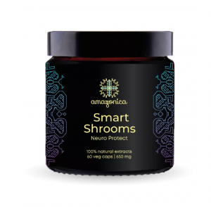 Smart Shrooms - здоровье и сила мозга (пищевая добавка) 60 капсул по 650 мгSmart Shrooms - здоровье и сила мозга (пищевая добавка) 60 капсул по 650 мг