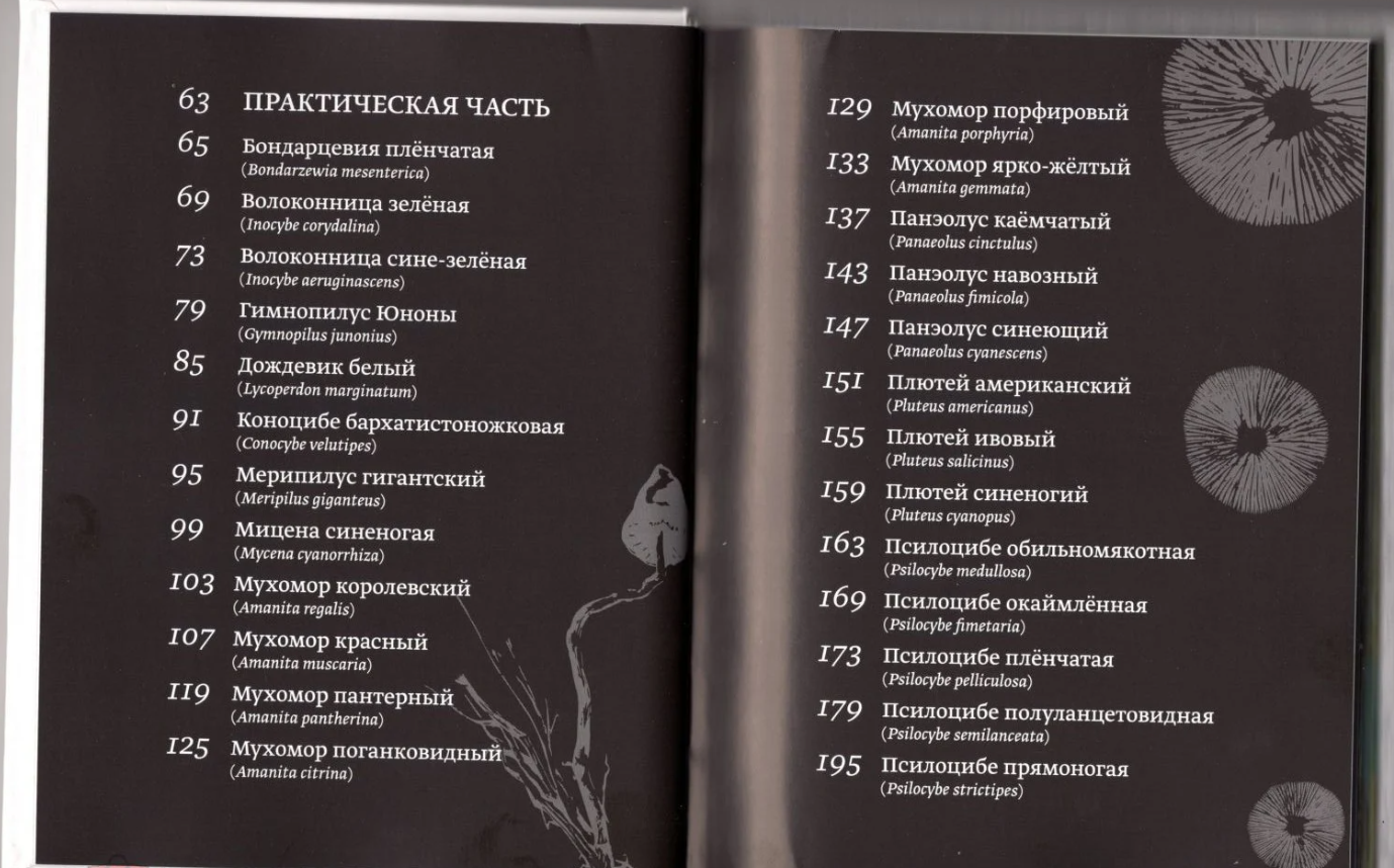 Книга Галлюциногенные грибы России. Атлас-справочник 3 издание.Книга Галлюциногенные грибы России. Атлас-справочник 3 издание.
