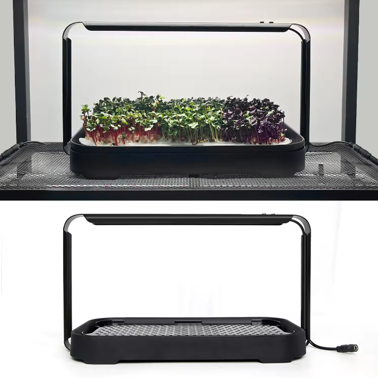 Домашняя грядка для микрозелени GrowsvetДомашняя грядка для микрозелени Growsvet