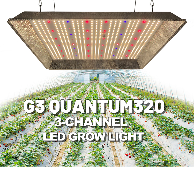 LED Светильник RedFarm G3 - Quantum 330 WLED Светильник RedFarm G3 - Quantum 330 W