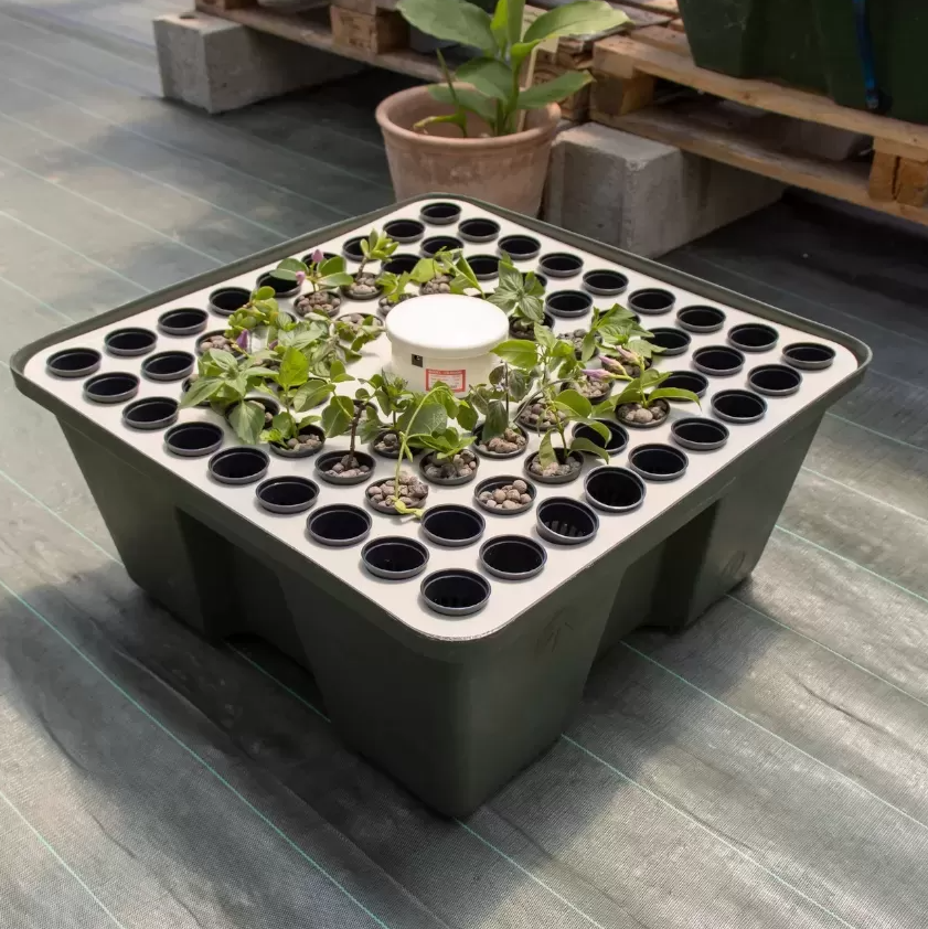 Система аэропоники Rainforest 72 220V GHEСистема аэропоники Rainforest 72 220V GHE