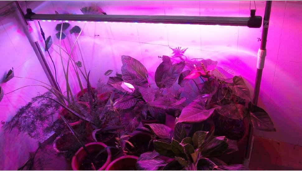 Фитосветильник Growsvet LED line 120 Фитосветильник Growsvet LED line 120