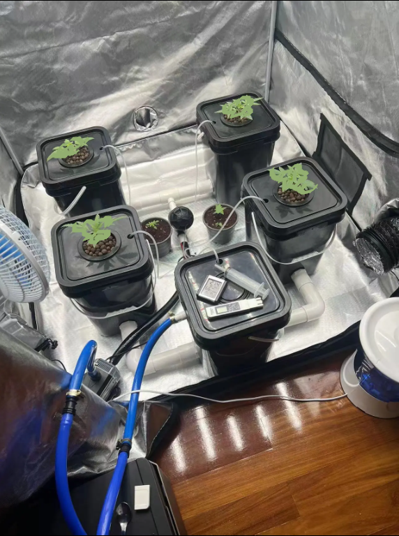 Гидропонная система DWC Rdwc Growsvet 4 PROГидропонная система DWC Rdwc Growsvet 4 PRO